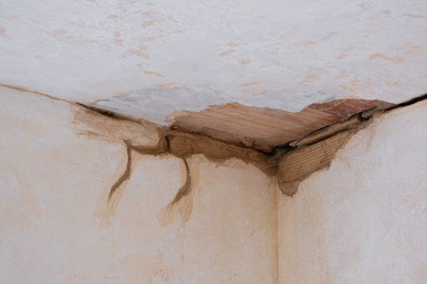 Best 24/7 water damage repair  in Inman, SC