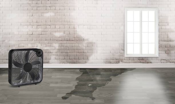  Inman, SC Water damage restoration Pros
