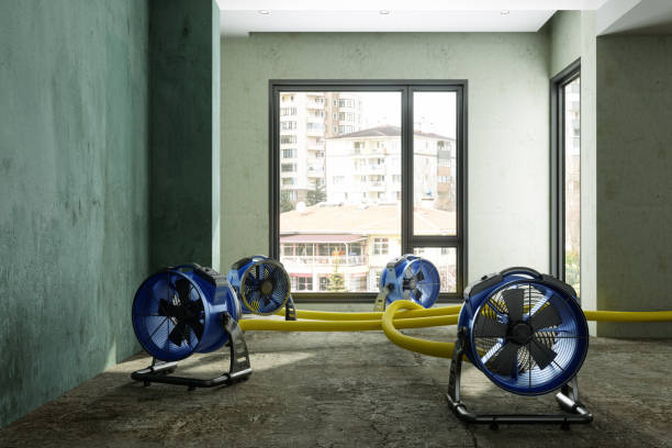 Best Residential water damage restoration  in Inman, SC